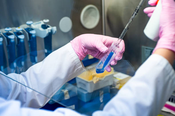 top research chemicals 2025