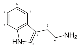 synthetic tryptamine research chemicals