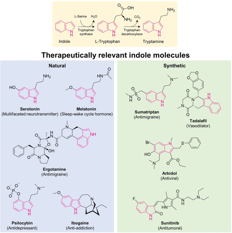 lab-tested tryptamines