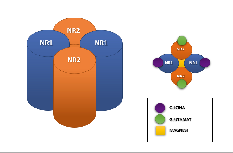 NMDA receptor antagonists research
