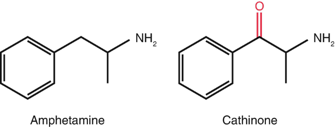synthetic cathinones vs amphetamines